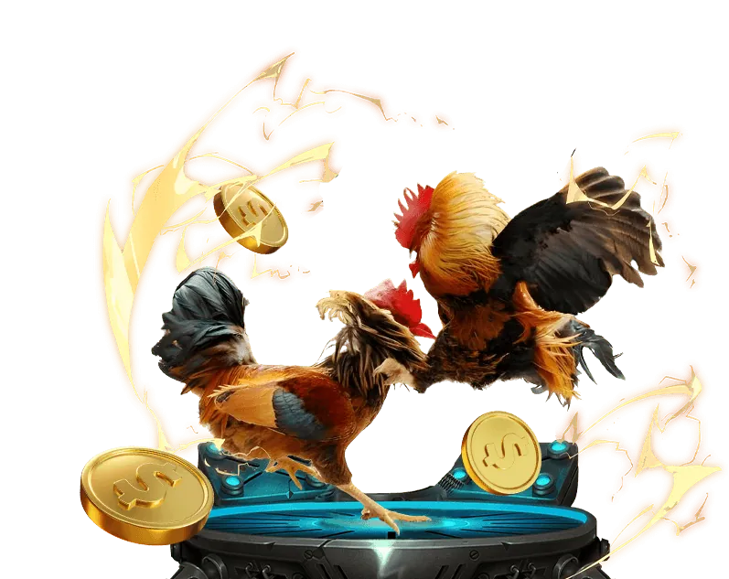 Chương trình VIP k9cc win